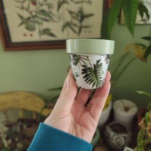 Tropical Handpainted/decoupage Planter